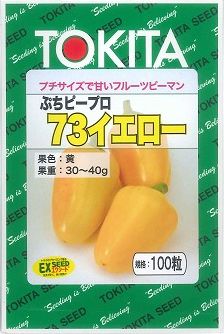 トウガラシ ぷちピープロ 黄色    100粒 トキタ種苗(株) [内果皮/蔬菜]