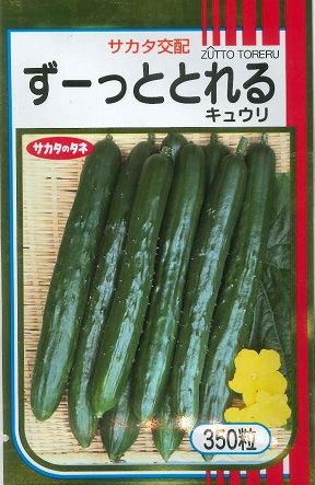 きゅうり  ずーっととれる 350粒 (株)サカタのタネ [内果皮/蔬菜]