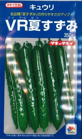 きゅうり ＶＲ夏すずみ 350粒 タキイ種苗(株) [種子/野菜]