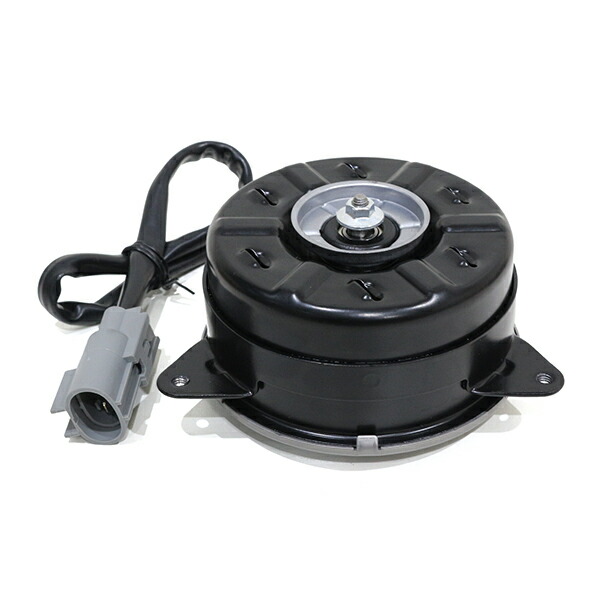 dfm-019-g.jpg