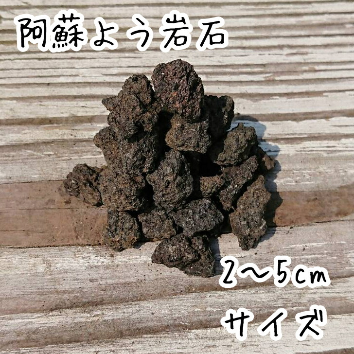 楽天市場】熊本阿蘇軽石［10〜20cm］【激安10グラム16円 ...