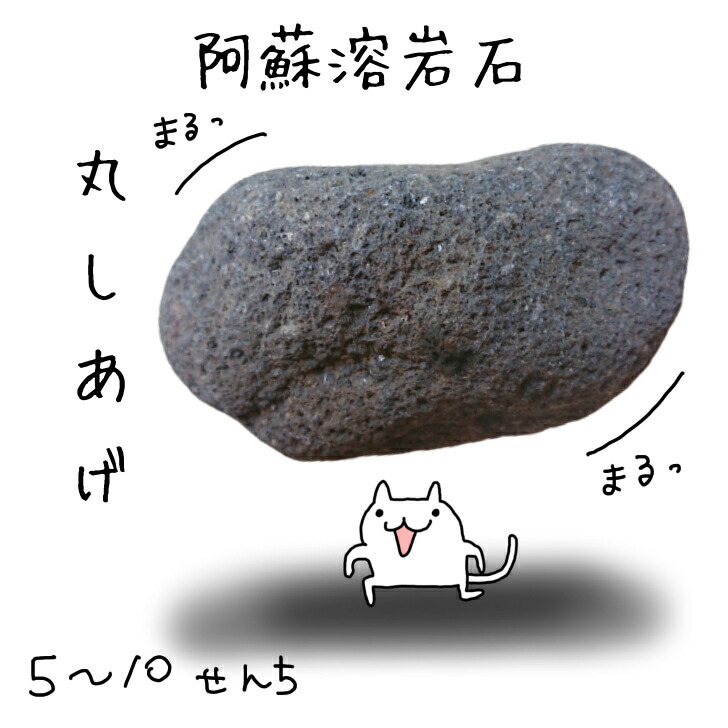 楽天市場 阿蘇溶岩石 赤系 大き目５ 10センチ 激安10グラム16円 キロまで送料1000円 23キロ以上お買い上げの場合は送料無料 ペット 水槽 水草 花壇 漁礁 造園 オリジナルガーデン レイアウト溶岩石 ロックガーデン 岩盤浴 スタイリッシュ 庭 庭石 メダカ