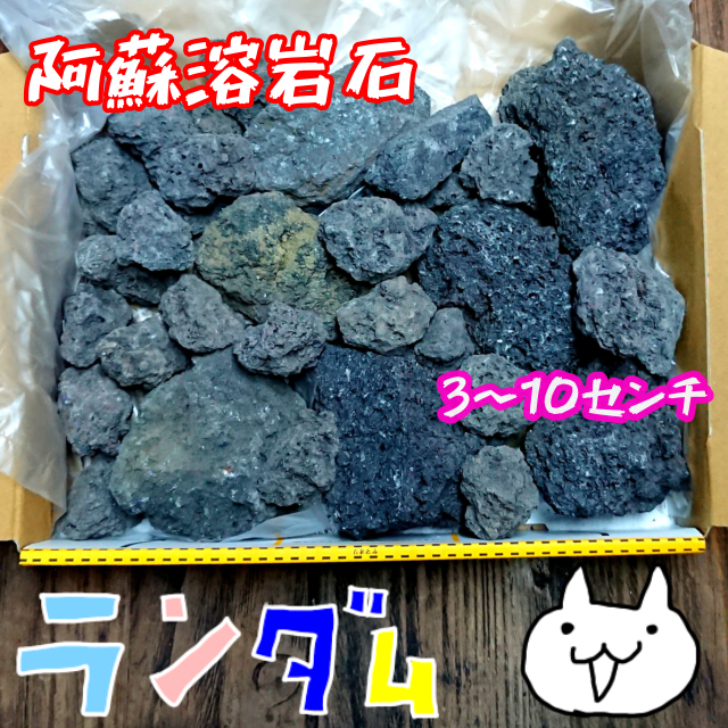 贈与 阿蘇の溶岩石 10cm 14kg 送料無料 庭 ガーデニング