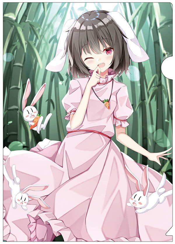楽天市場】東方Projectクリアファイル 東方クリアファイル 秦