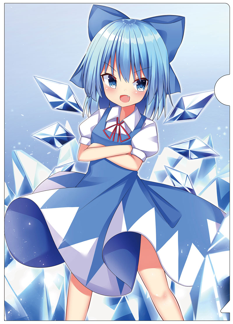 東方project こころ　バニー　美少女　クリア　ファイル　VZ2 2500020506783.jpg