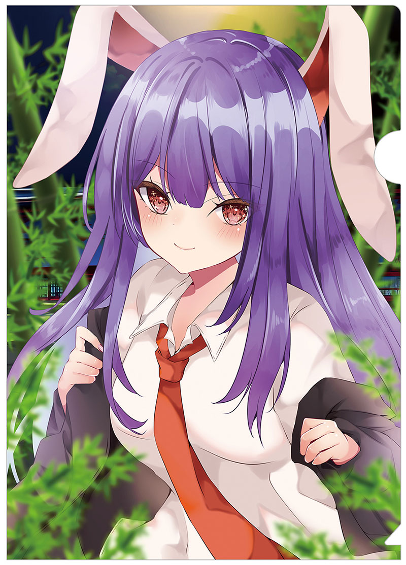東方Project×maimai MURASAKi チルノ クリアファイル 東方Project×maimai MURASAKi チルノ クリアファイル - メルカリ