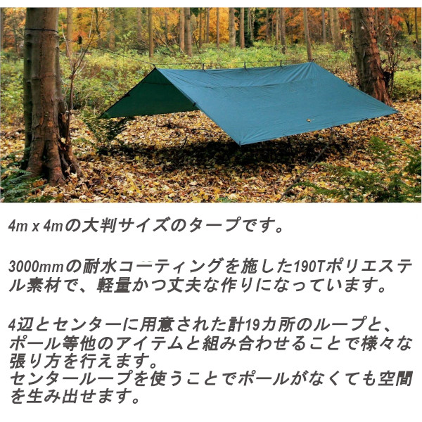 毎日続々入荷 3m x 耐水 海外正規品 Hammocks アウトドア タープ 3 野営 レクタタープ DD