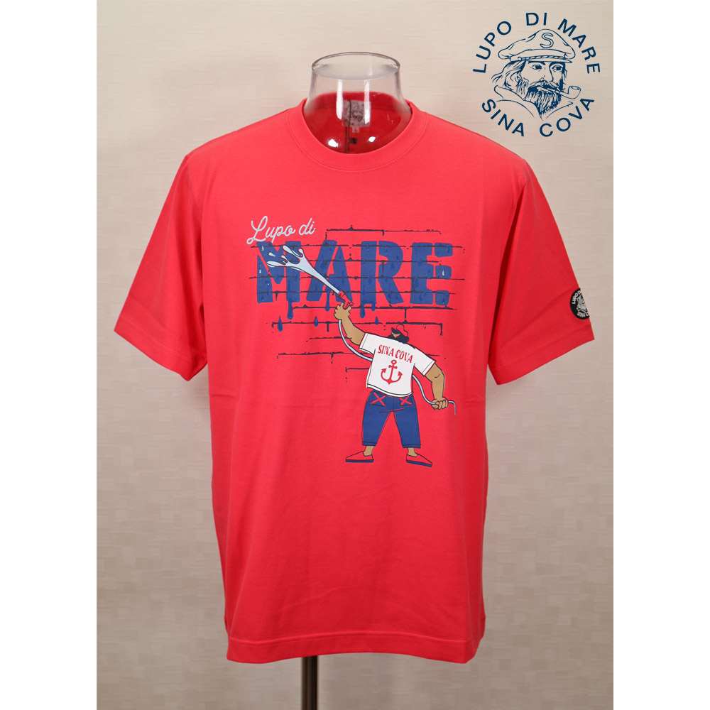 ★２０２５ 春夏　新作・ ３０%OFF・シナコバ【*001*】半袖Tシャツ＜Mサイズ・Lサイズ＞-ef0175・ef176