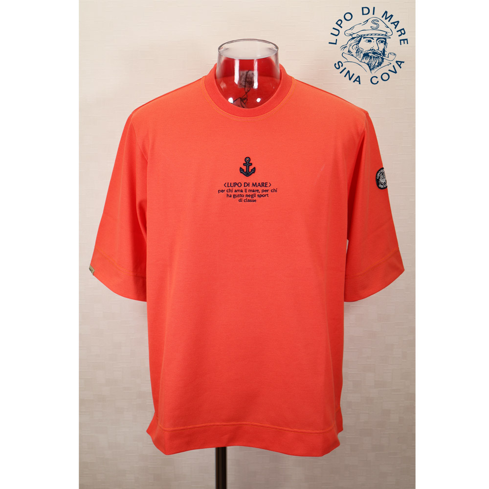 ★２０２５ 春夏 新作・３０%OFF・ シナコバ【*001*】五分袖Ｔシャツ＜M大きさ・L大きさ・LL大きさ＞-ef092・ef93・ef094