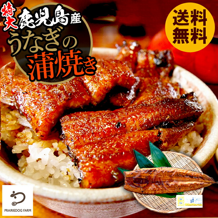 1497円 贈呈 特大 鹿児島県産うなぎセット うなぎの蒲焼き 250g ty