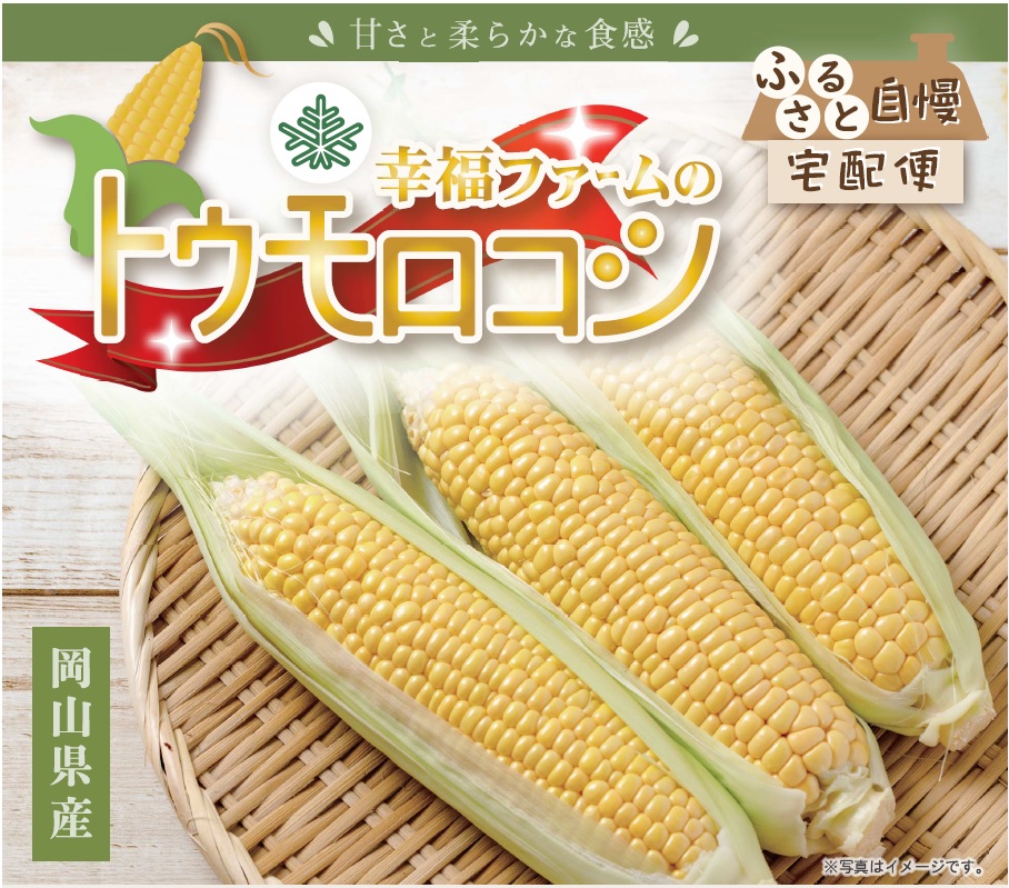 楽天市場 送料無料 岡山県産 幸福ファームのトウモロコシ 6本セット ギフト箱入り Ty 通販パーク