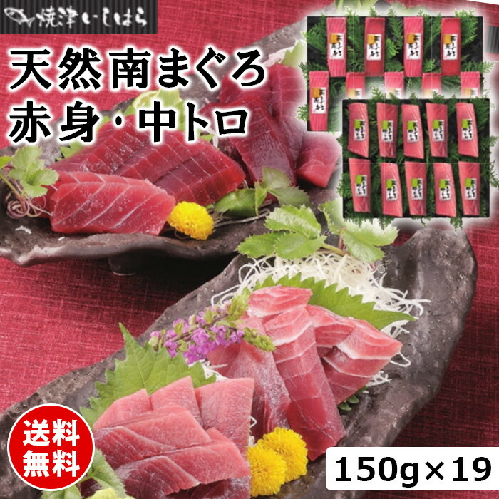 天然南まぐろ赤身 中トロ ｙｍ５００ Ty 通販パーク マグロ 送料無料 送料無料 ｙｍ５００ Ty 食品 焼津石原水産 赤身 Ekkadamaur Org