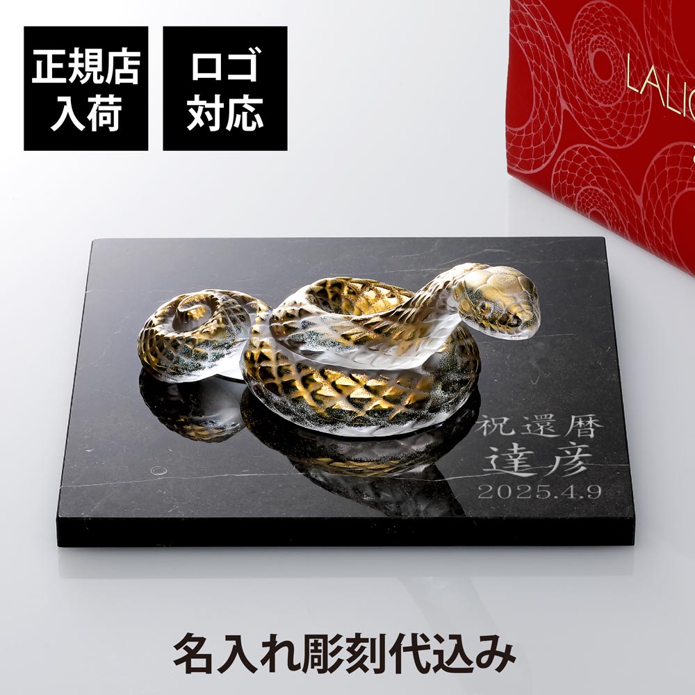 法人不死化品特集