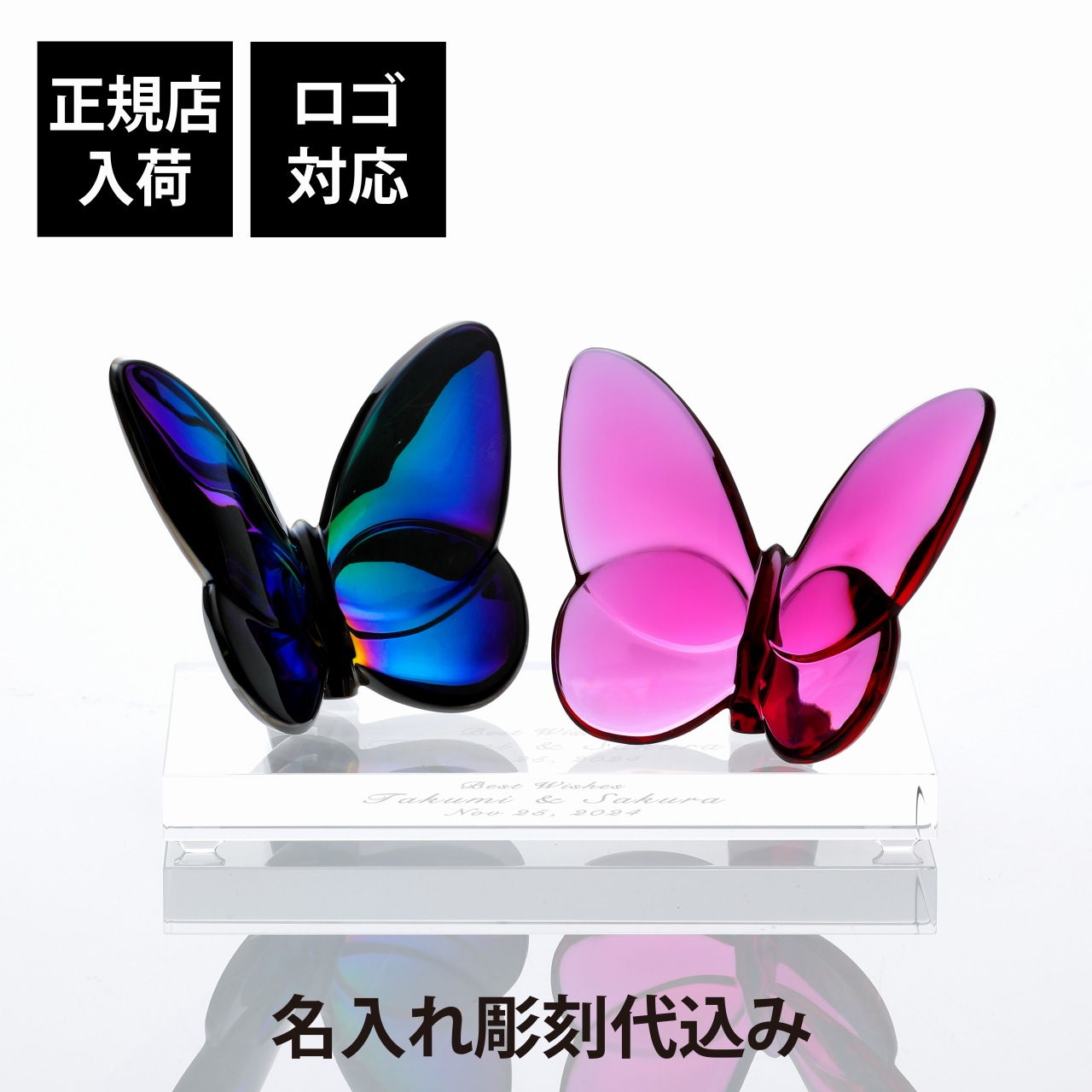 法人不死化品特集