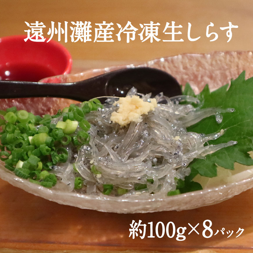 遠州灘産冷凍生しらす 100g×8パックセット 生しらす 冷凍便 シラス