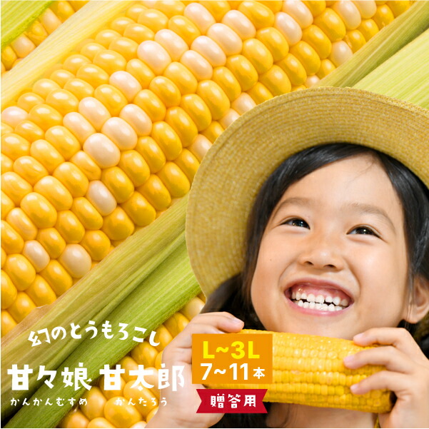 静岡県産とうもろこし 甘々娘甘太郎（かんかんむすめかんたろう）L～3Lサイズ7～11本【ご贈答用】期間数量限定 バーベキュー