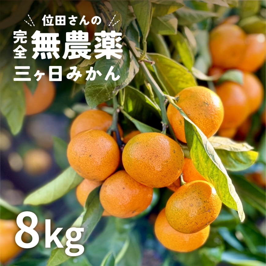 楽天市場】三ヶ日みかん 早生 位田さんの完全無農薬みかん 4kg 【無