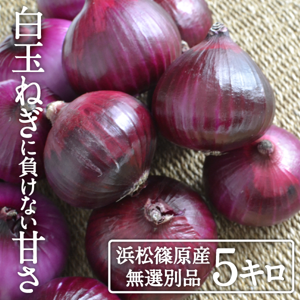 楽天市場 赤玉葱 アカタマネギ 別称 アーリーレッド1kg前後 5個前後 築地通販 おいしいなショップ