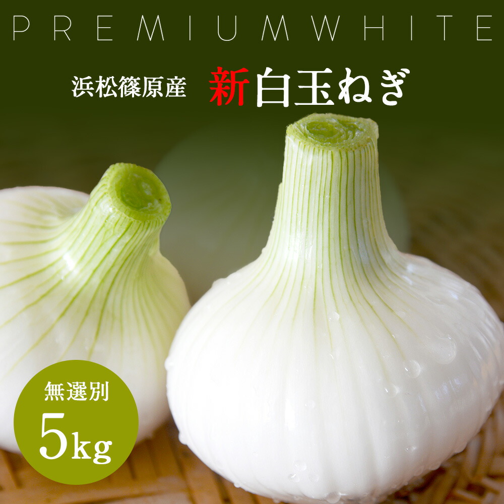 楽天市場】日本農林 タマネギ たまねぎ 玉葱 ホワイトベアー 20ml