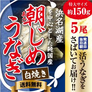 朝じめ特選うなぎ白焼き5尾セット【送料無料】【浜名湖産】【特大】