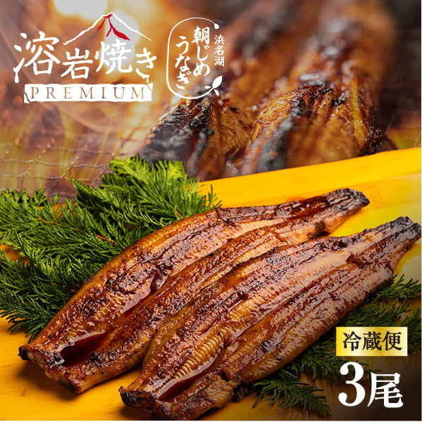 うなぎ 国産 ギフト 贈答 浜名湖産 朝じめうなぎ 溶岩焼き 蒲焼き 3尾 【冷蔵便】 父の日 母の日 敬老の日 プレゼント お中元 お歳暮｜浜名湖グルメマーケット