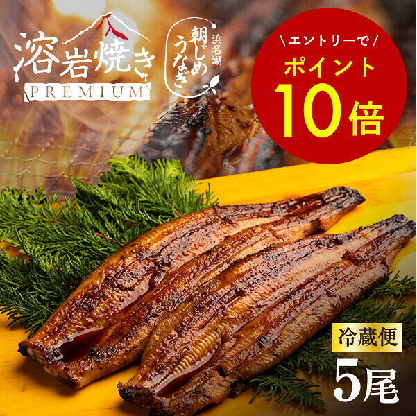 【エントリーでポイント10倍★】 うなぎ 国産 浜名湖産 朝じめうなぎ 溶岩焼き 蒲焼き 5尾 贈答 ギフト 【冷蔵便】 父の日 母の日 敬老の日 お中元 お歳暮 プレゼント 15,680円