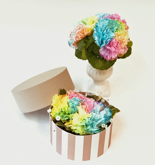 楽天市場 ２０２１ レインボーカーネーションのヨーロピアンスタイルアレンジ ボックスフラワー 母の日のプレゼント ギフトに 花恭 母の日ギフト 父の日ギフト ｆｏｕｒ ｓｅａｓｏｎｓ 花恭