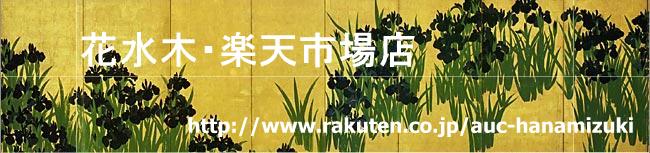 花水木 楽天市場店:和装小物