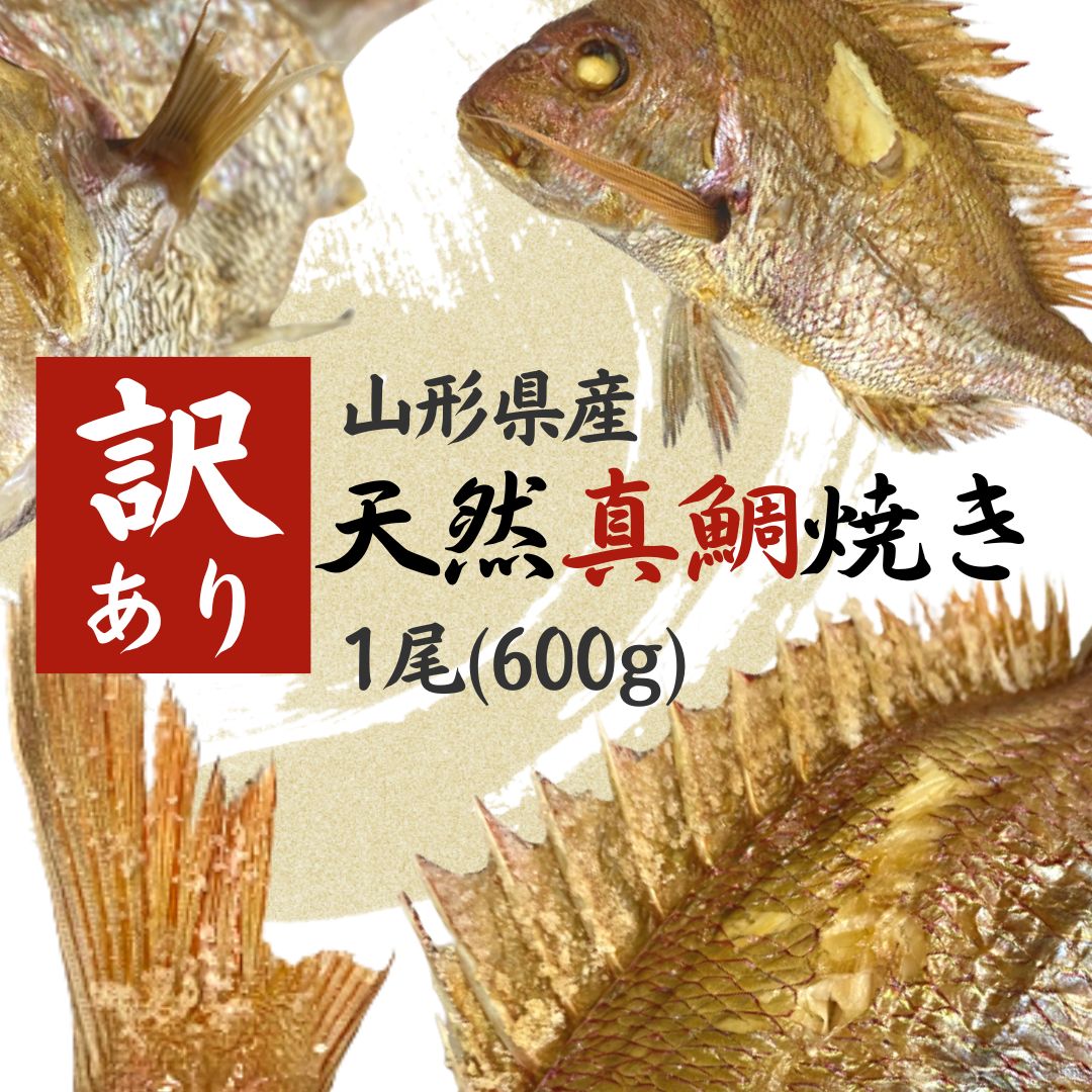 推奨 焼き鯛 400gお食い初め 山形県産 祝い鯛 天然 真鯛 焼鯛 塩焼き マダイ 鮮魚 海鮮 尾頭付き