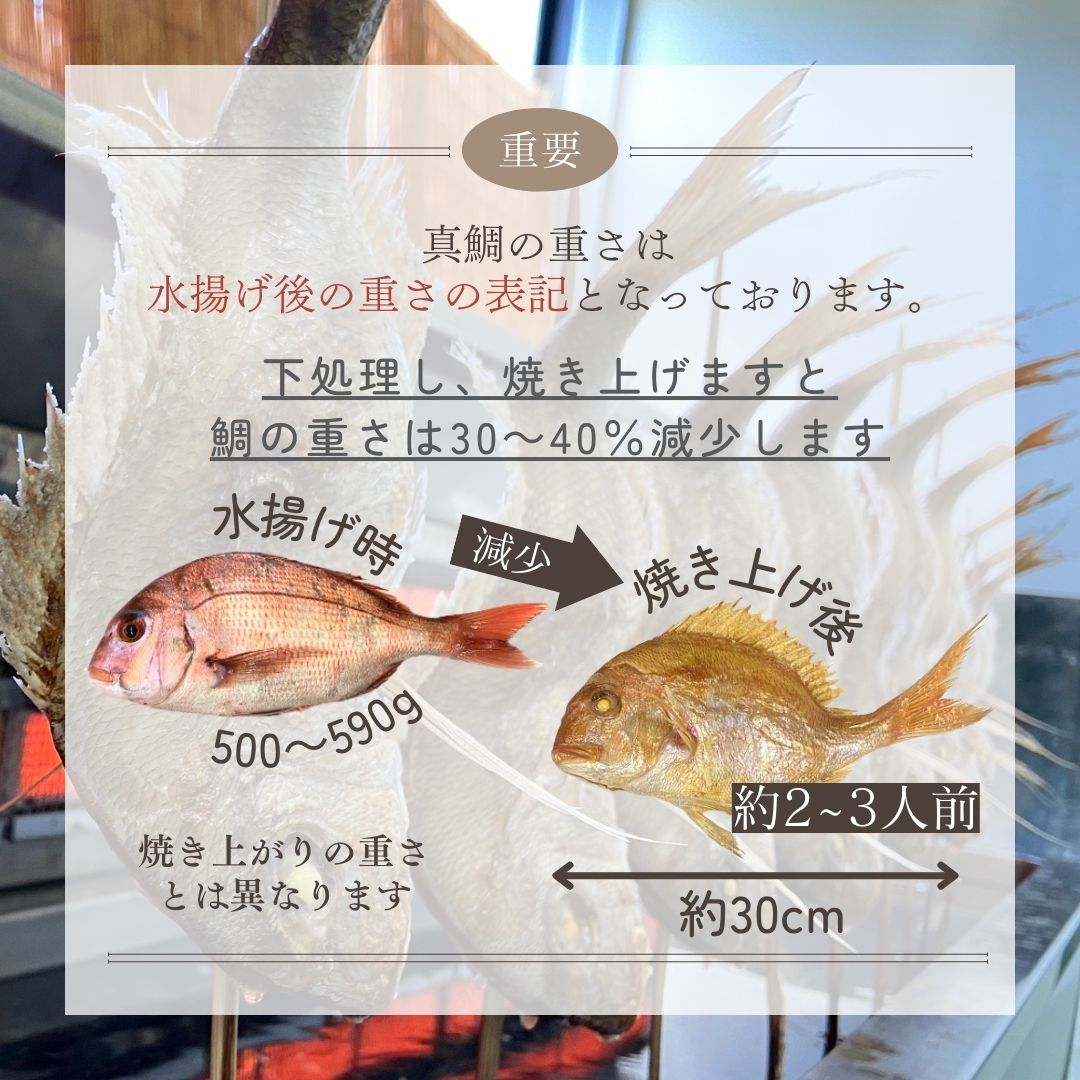 祝い鯛・はまぐり