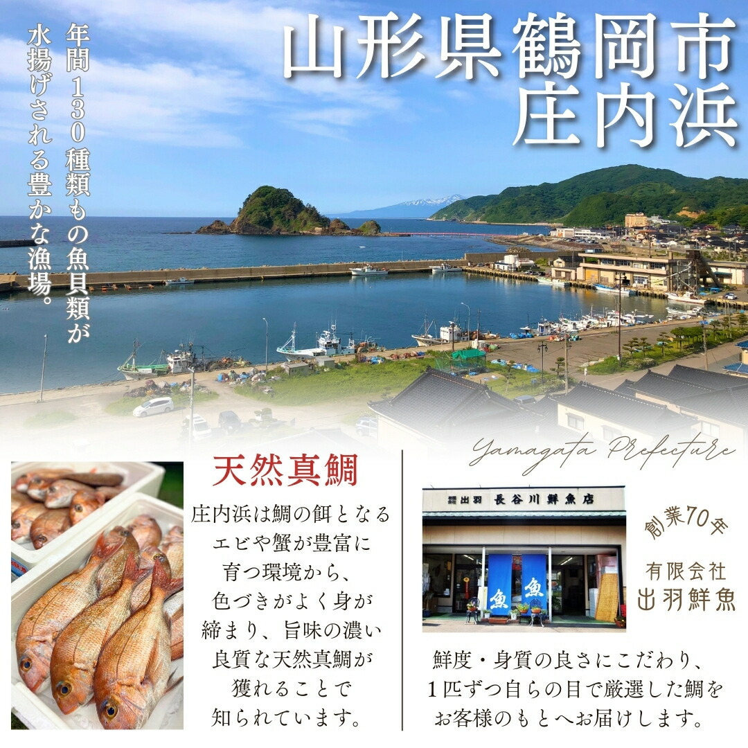 祝い鯛・はまぐり