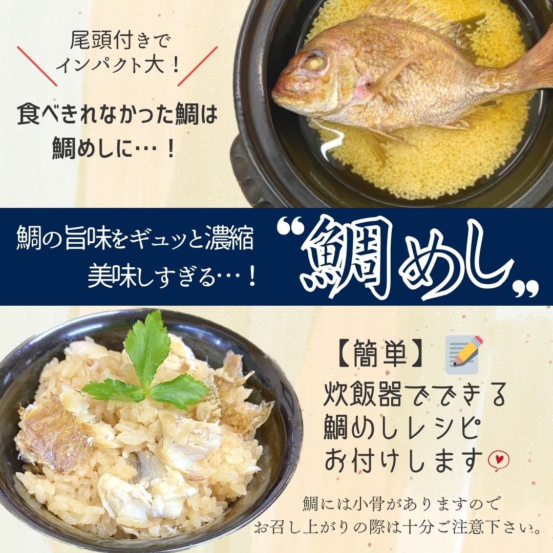 お食い初め鯛はまぐりセット500g敷紙鯛飾り祝い箸天然真鯛焼き鯛お祝い料理蛤祝鯛冷蔵