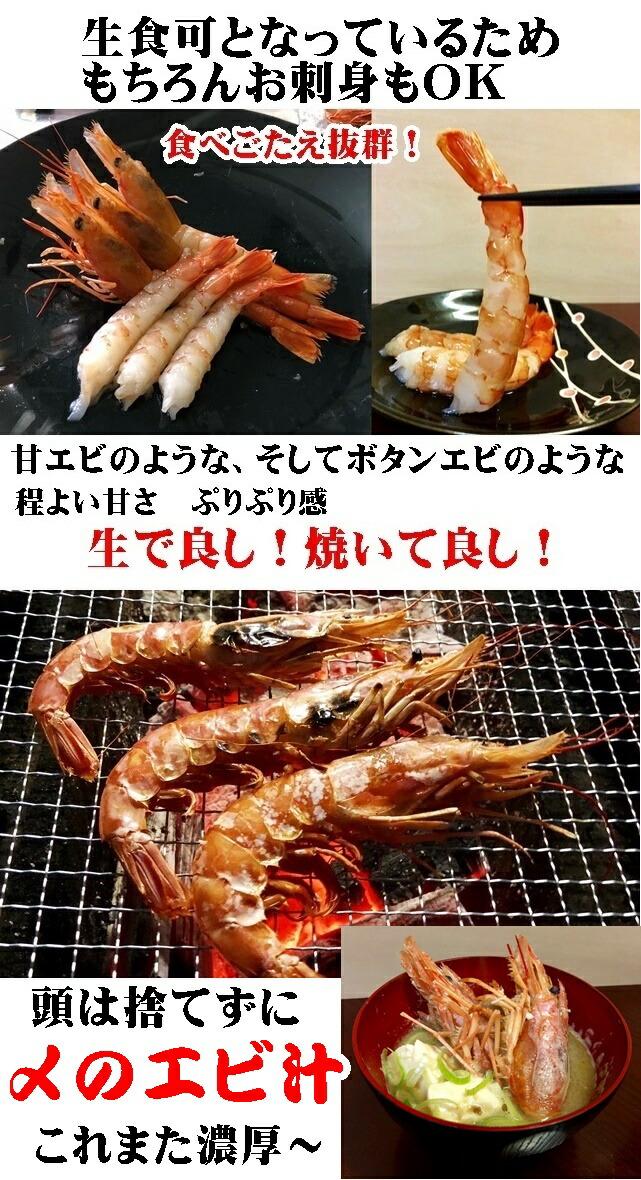 海鮮丸焼き ホタテ 特大赤いことエビ組み 2果核値打ち 凍結 片貝ホタテ10枚 生得特大赤エビ10尻尾 Hotjobsafrica Org