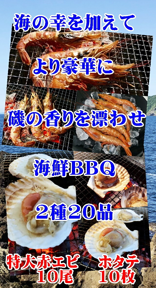 海鮮丸焼き ホタテ 特大赤いことエビ組み 2果核値打ち 凍結 片貝ホタテ10枚 生得特大赤エビ10尻尾 Hotjobsafrica Org