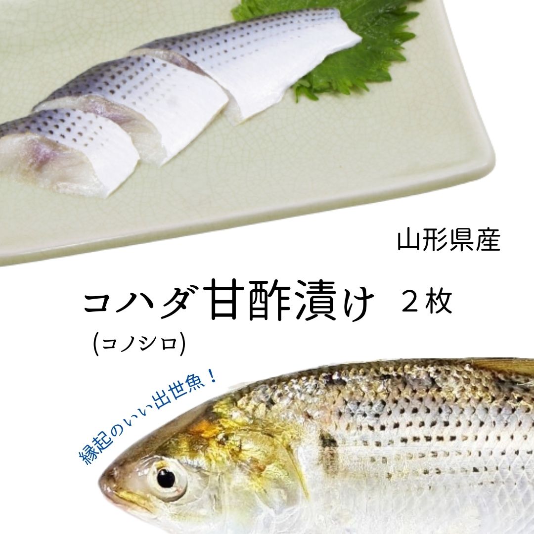 【楽天市場】コハダ(コノシロ) 甘酢漬け こはだ お食い初め お祝い 料理：山形 鮮魚と特産品の店長谷川