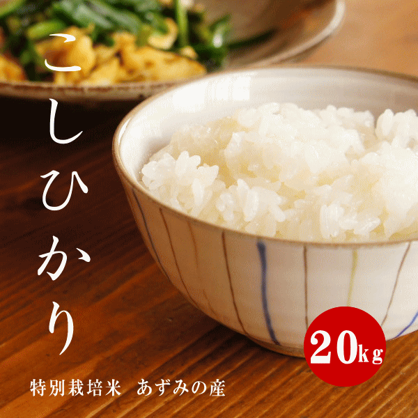 令和７年産 特別栽培米 こしひかり 安曇野産 １等米 白米 ２０kg｜林屋　店 16,352円