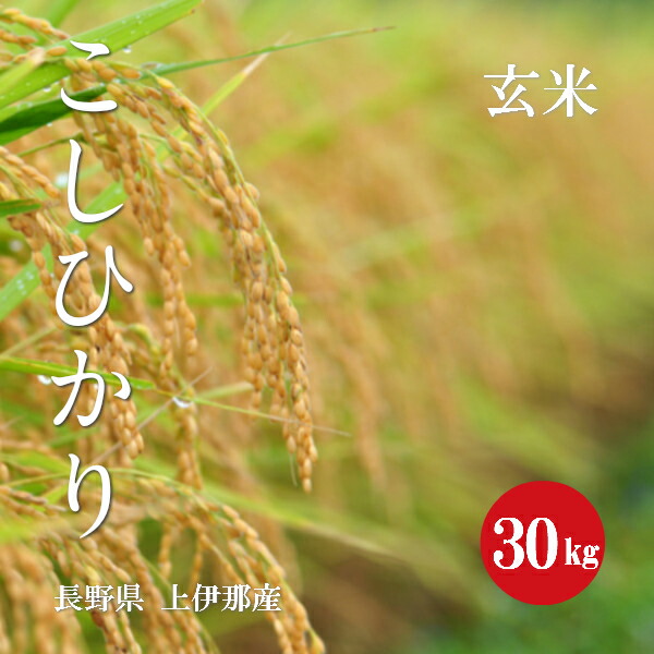 長野県産 こしひかり 上伊那産 １等米 令和４年産 玄米 ３０ｋｇ 【ついに再販開始！】