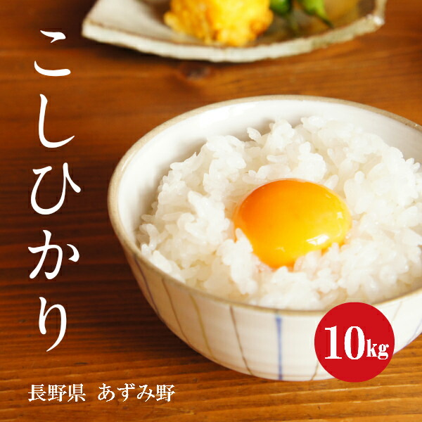 長野県産 こしひかり 安曇野 1等米 令和１年産 白米 １０ｋｇ 【新米】【楽ギフ_包装】