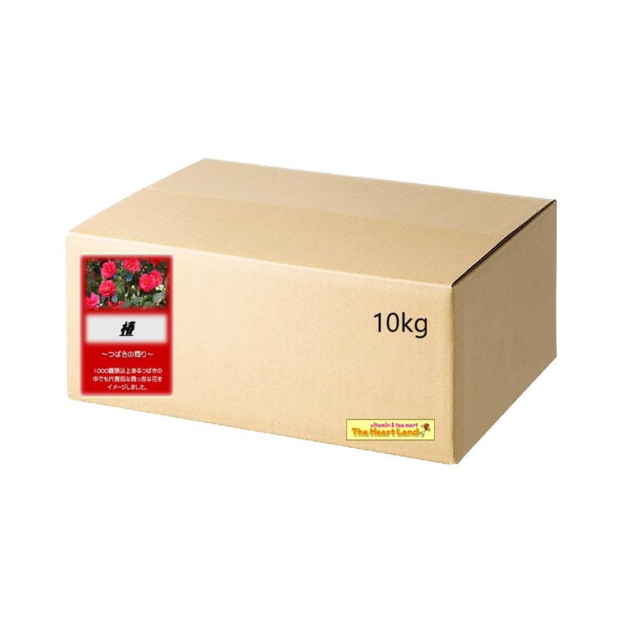 【ＧＥＴ！アサヒ 御役目用入かざり付ける品 椿 10kｇ】湯浴み剤 ご身寄り用にもどうぞ！ 入浴剤-日用品雑貨・文房具・手芸