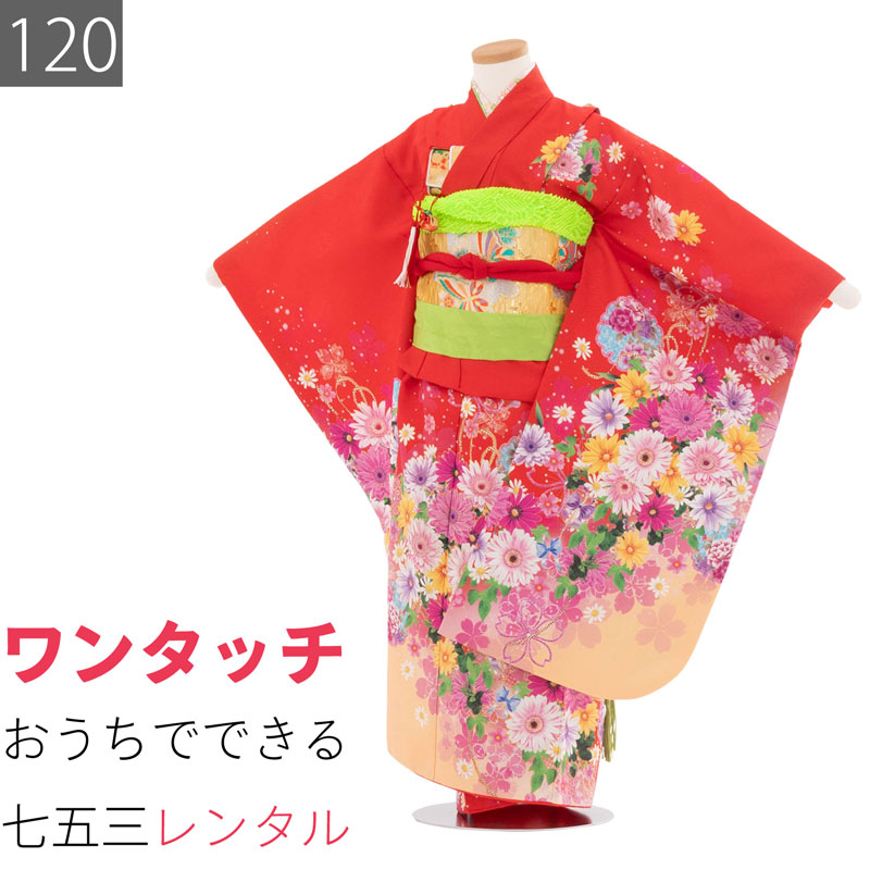 【レンタル】七五三 着物 7歳 女の子 120サイズ レンタル 四つ身 着物 (着付け 簡単) 赤 菊 桜 (7084)｜レンタル着物 みやこもん