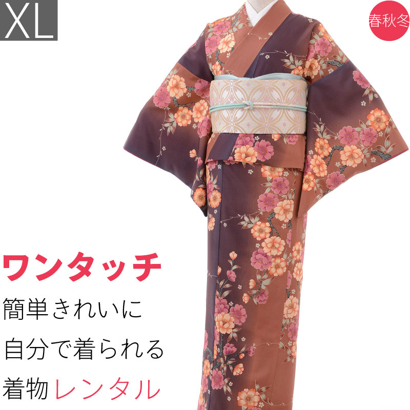 新品正絹上質小紋　間道　(訪問着、紬、袋帯なども出品)③ 楽天市場】帯 京袋帯 ライトグレー 月うさぎ 正絹 仕立て上がり