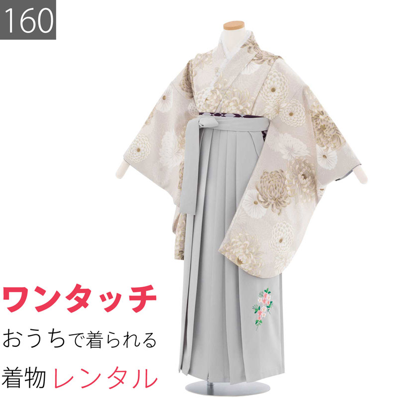 【レンタル】ワンタッチ 小学校 卒業式 女の子 簡単 はかま 「160サイズ」 ベージュ/袴 グレー 菊揃い フルセット 女子 (t020ax) 25,056円