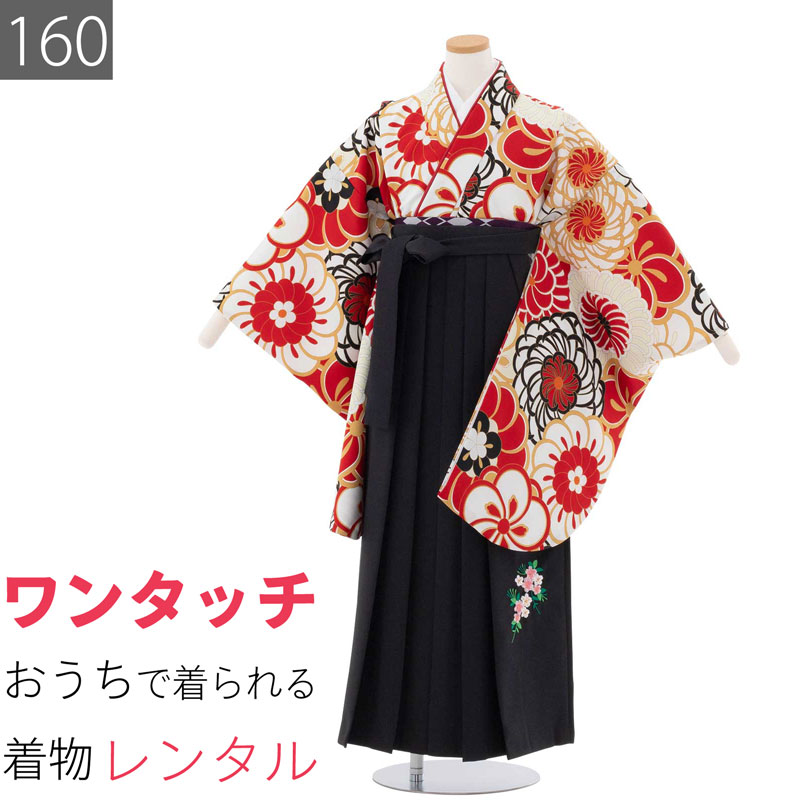 【レンタル】ワンタッチ 小学校 卒業式 女の子 簡単 はかま 「160サイズ」 白 赤/袴 黒 ねじ梅 意匠菊 フルセット 女子 (t022ax)