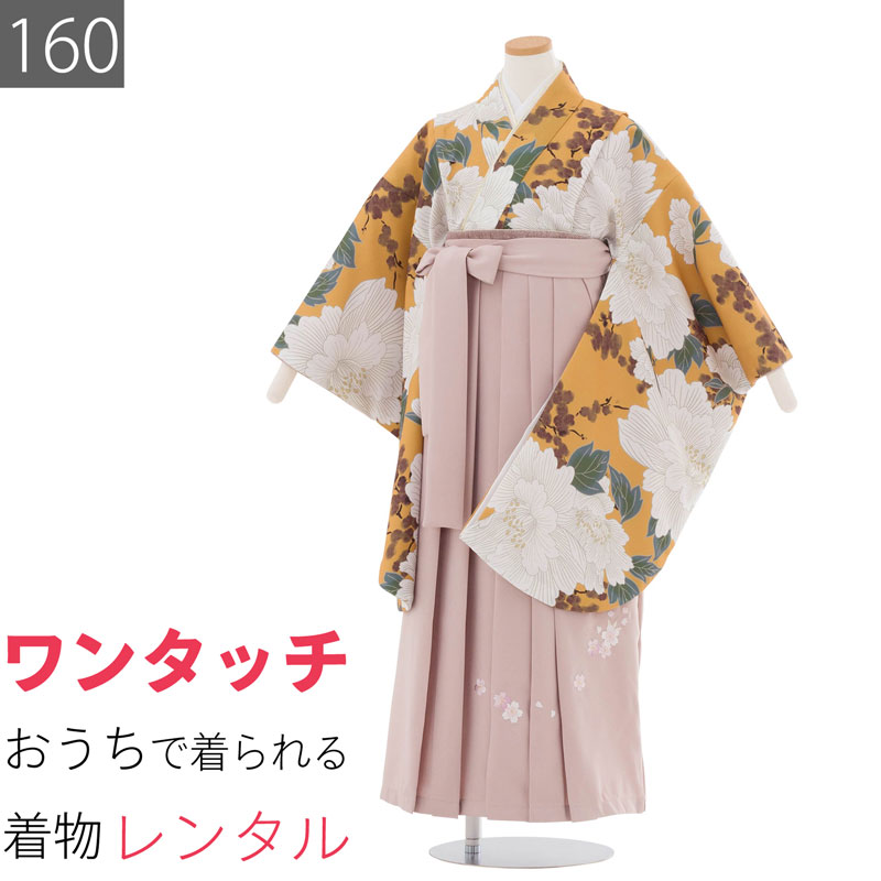 【レンタル】ワンタッチ 小学校 卒業式 女の子 簡単 はかま「160サイズ」茶金/袴 くすみピンク 大牡丹 水墨梅 フルセット 女子 (t049ax)