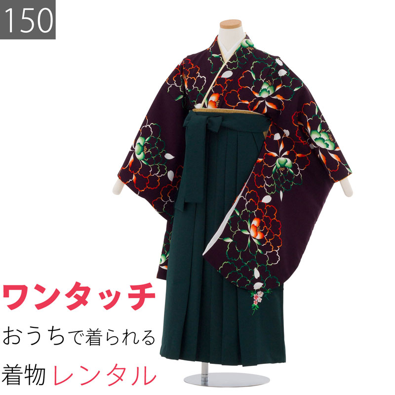 【レンタル】ワンタッチ 小学校 卒業式 女の子 簡単 はかま「150サイズ」濃紫/袴 濃緑 牡丹シェイプ 赤・緑ネオン風 フルセット 女子 (t051as)