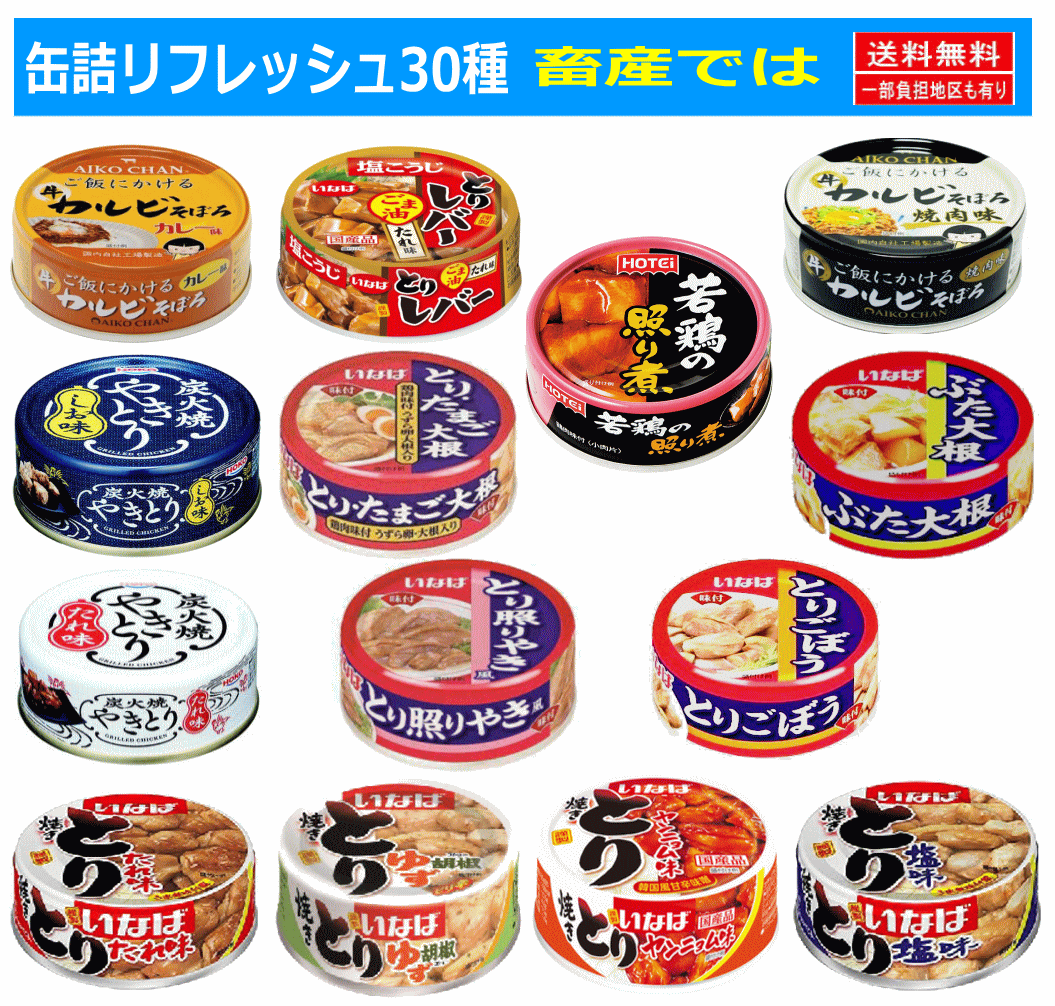 【缶詰め】リニューアル 非常食 保存食に 缶詰 30缶 いなば 宝幸 伊藤食品 焼き鳥 ホテイフーズ 水産 畜産 惣菜 カレーなどバラエティ30種セットさば いわし まぐろ ツナコーン 惣菜 関東圏送料無料