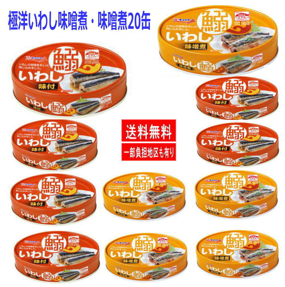 最適な材料 極洋 缶詰 イワシ缶 いわし 味噌煮 いわし味付 100g 2種20缶セット 関東圏送料無料 techwyse.com