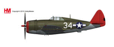 1/48 P-47D サンダーボルト `タスキーギ` HA8454【HOBBY MASTER/ホビーマスター】【4895173405709】｜hobbyshop KUME