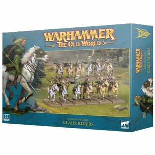ダークエルフ　ウォーハンマー　The Old World ダークライダー Warhammer Fantasy Battle The Old World Dark Elf Dark Riders