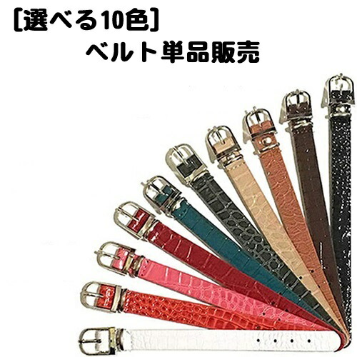 belt_s2.jpg